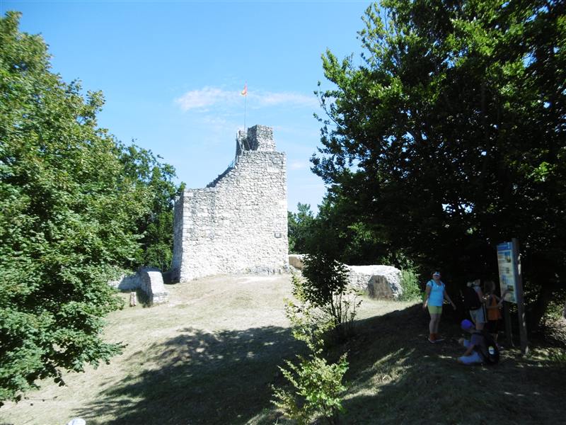 P1000481